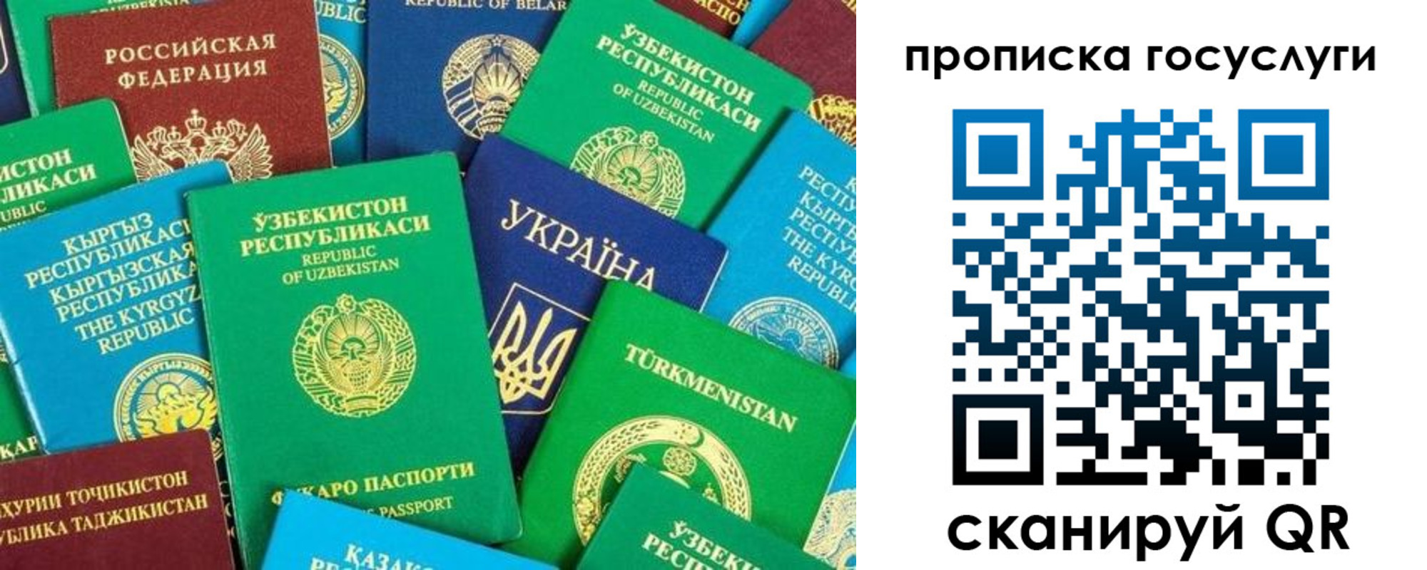 временная регистрация для всех в Острогожске
